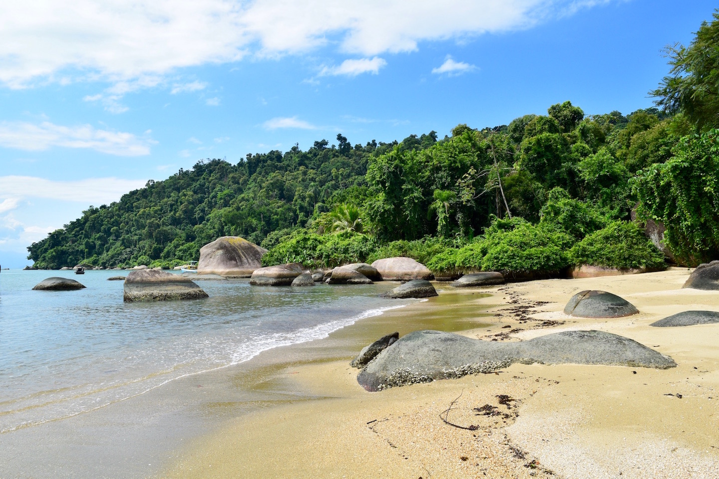 Ilha Araujo- Island 2 km away from Casa Tambor Paraty