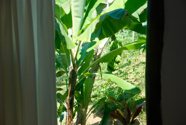 Chalé Vermelho - view of the window